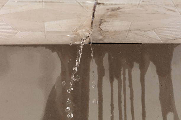 Professional Burst Pipe Cleanup technician working in Beech Bluff, TN